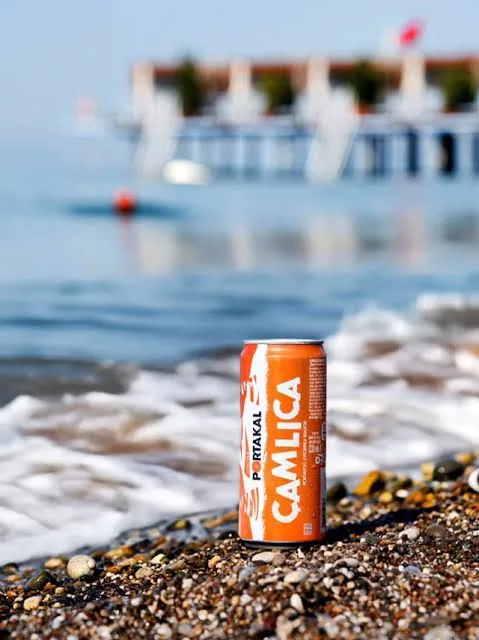 Çamlıca Portakal Kutu